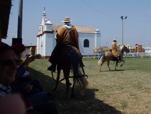 Peruvian Step Horse Show.